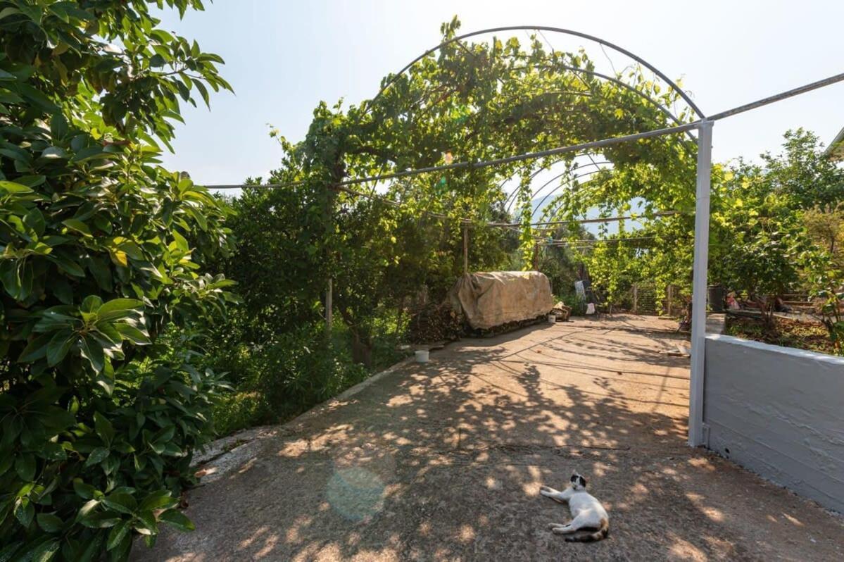 Serene Seaside Bliss - Lush & Secluded Garden Oasis Kalamata Dış mekan fotoğraf